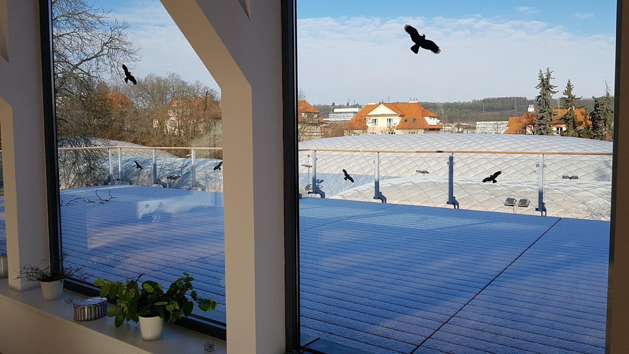 Sport Pension Cibulka Prag Exteriör bild
